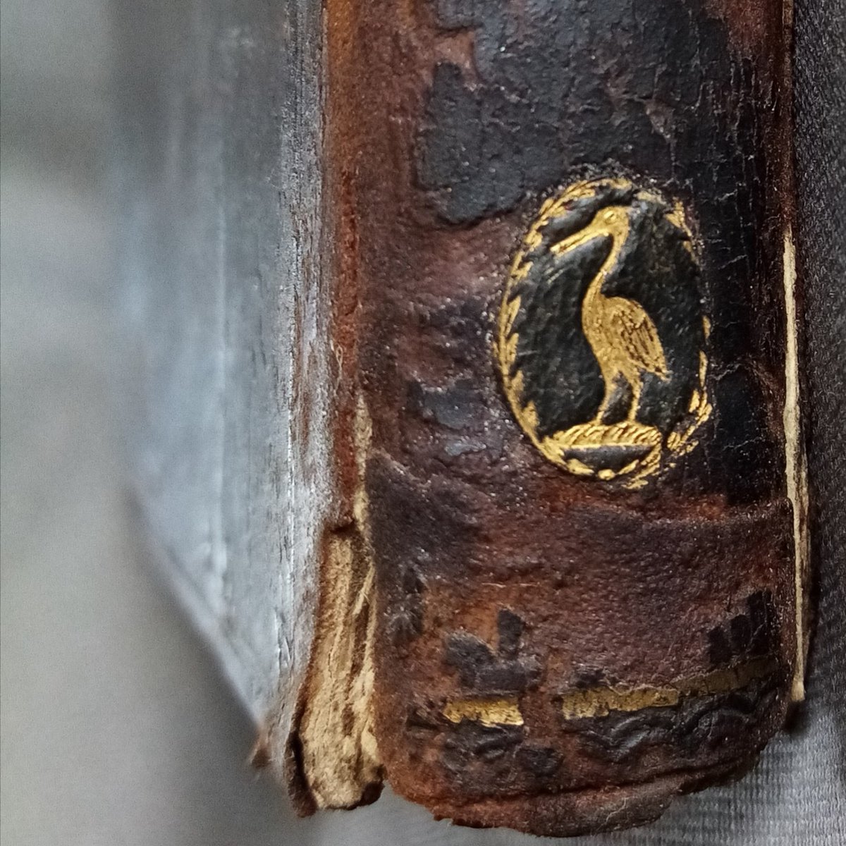 A gold heron perched on the spine of a book from 1659 #RareBooks #Bindings