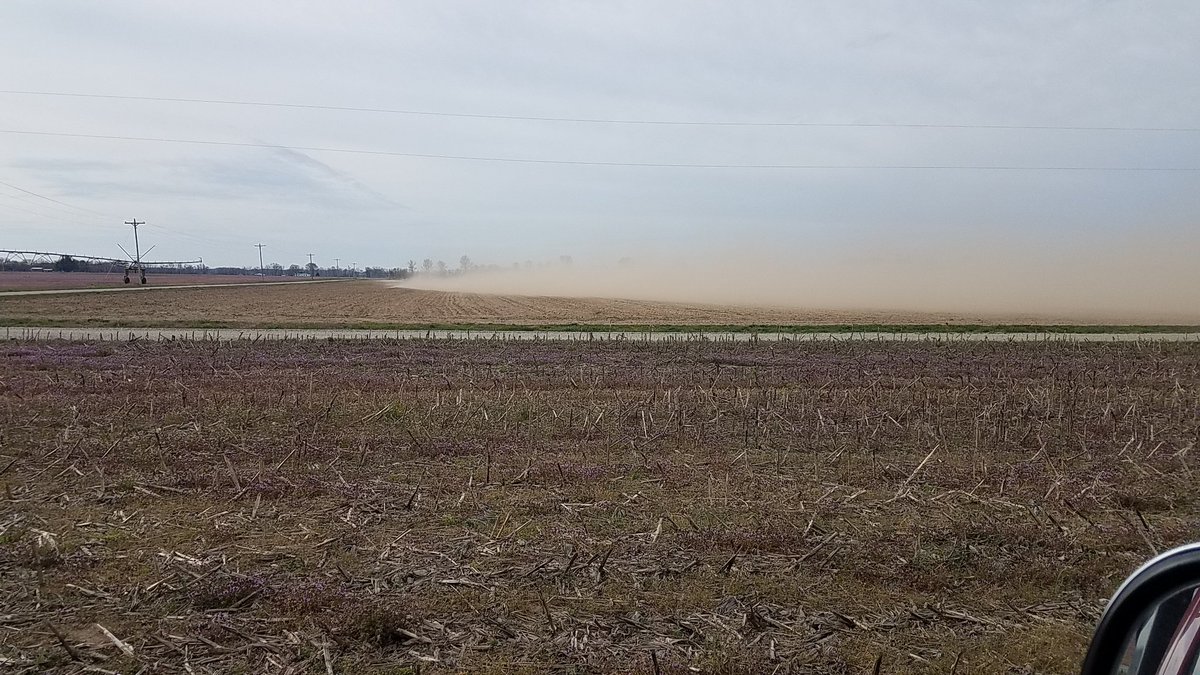 This was yesterday on some sandy ground north of town. They actually had a plow rodeo on this last fall. Not condemning anything or anyone just a good visual.