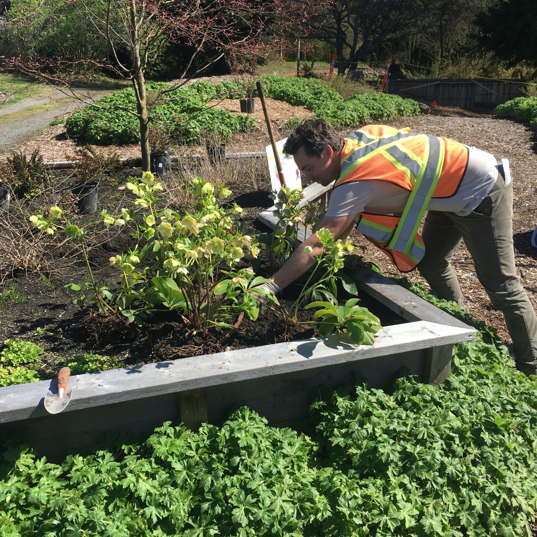 Last chance to sign up for our online Horticulture Training Program Information Session happening tonight! Reminder, the deadline to apply for the program is coming up soon. ow.ly/FNr950R2mRI