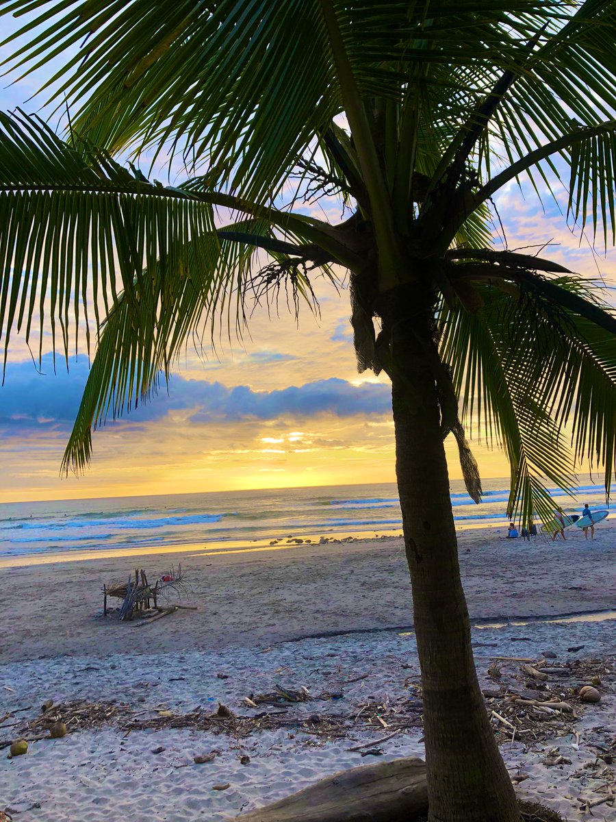 📸 street wear :] my happy place #traveltuesday 
it's a 30 second walk to the backyard beach in #CostaRica 😍🌴⛱️☀️🏄🏼‍♀️

shirt says Rip Curl Stew, (from a <a href="/MonsterEnergyCa/">MonsterEnergyCanada</a> Tofino surf comp)