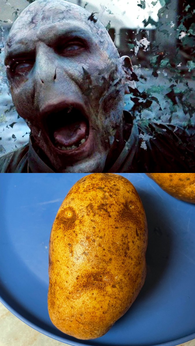 aaallie28's tweet photo. I give u dying Voldemort baked potato https://t.co/kFO7XEDmqN