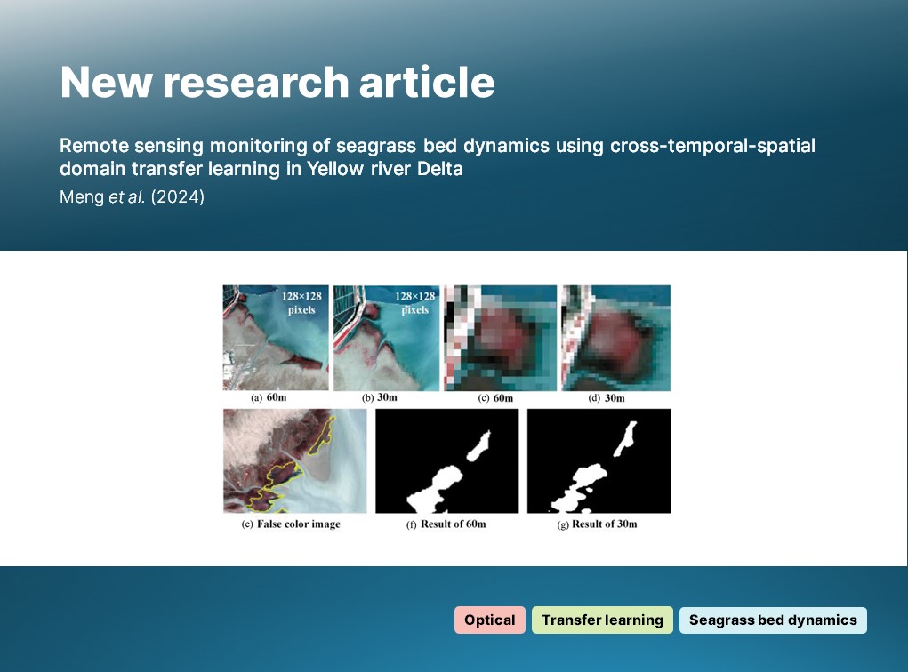 🔔 New article: Meng et al. present a novel method for monitoring seagrass bed dynamics with #Landsat data, using an enhanced version of DeepLab V3+ and a #TransferLearning approach to #classification. 🔗 doi.org/10.1080/014311… #IJRS #RemoteSensing #TimeSeries #MarineScience