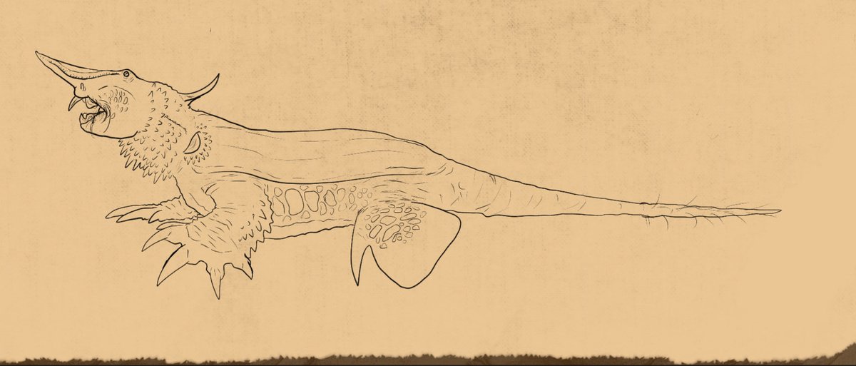 EverWyrmmess's tweet image. 🦈