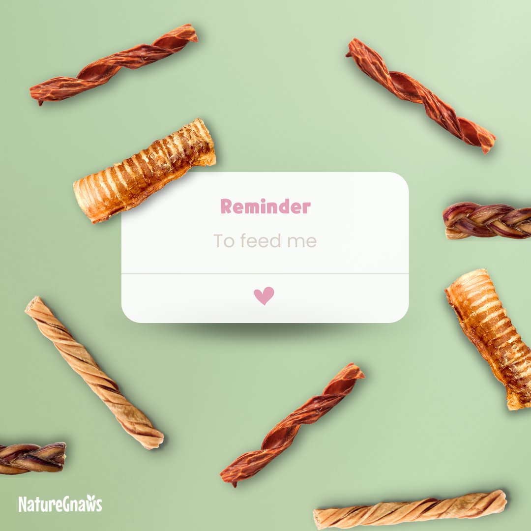 💚Just a little bark to remind you it's chow time! ✨ Don't fur-get about your hungry pup-aroo🐶

#tuesdaymood #chewsday #tongueouttuesday #naturegnaws