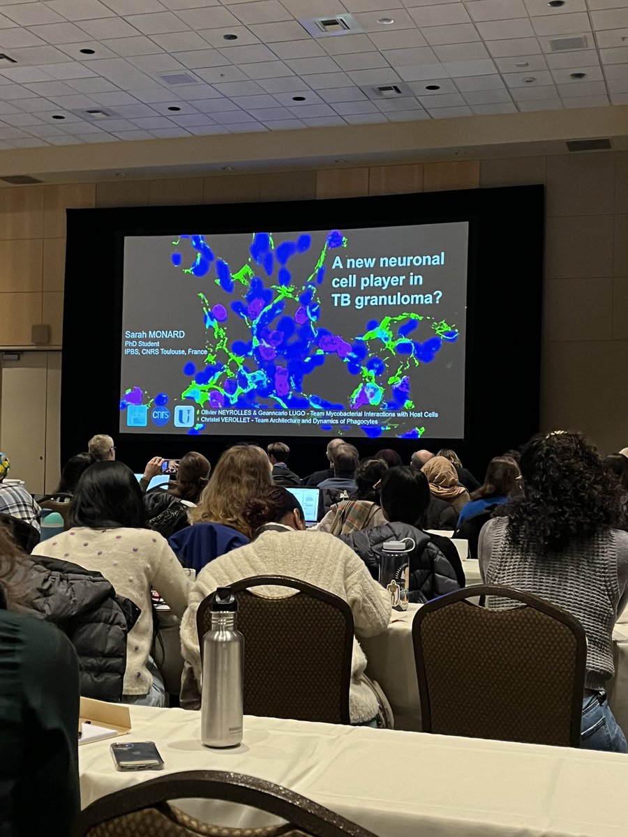Olivier Neyrolles (@oneyrolles) on Twitter photo Gorgeous talk by our one and only <a href="/SMonard/">Sarah Monard</a> at #KStuberculosis24 on Identification of a Novel Nerve Cell Population in Lung Granulomas during Tuberculosis
How cool! 🤩🤩🤩 Gorgeous talk by our one and only <a href="/SMonard/">Sarah Monard</a> at #KStuberculosis24 on Identification of a Novel Nerve Cell Population in Lung Granulomas during Tuberculosis
How cool! 🤩🤩🤩