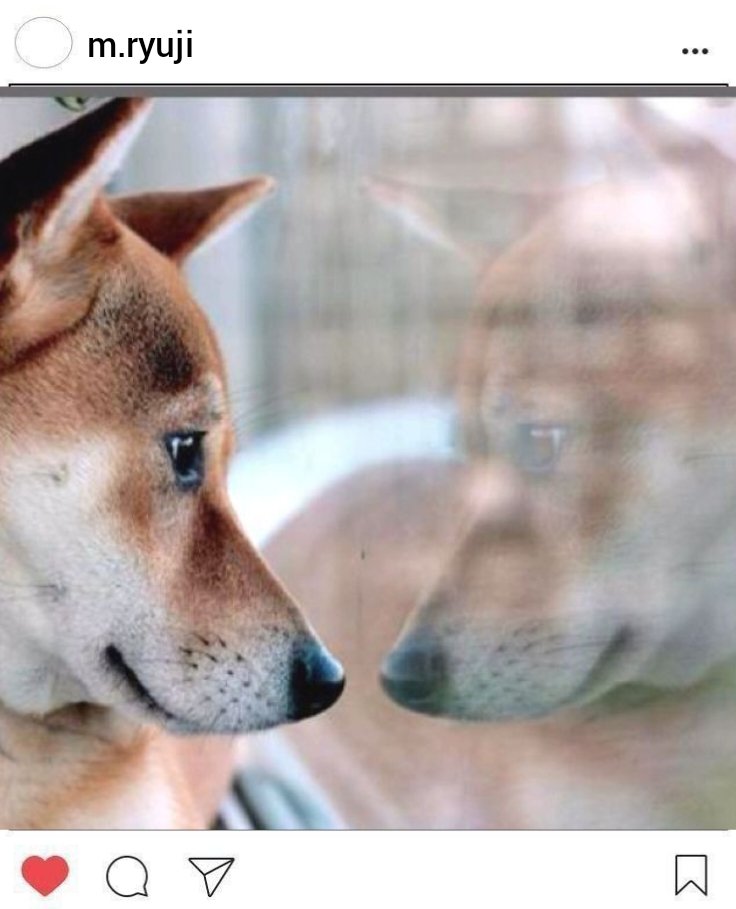 aeieelarts's tweet image. #JonaxxNJSDKab27

Mga post ni Ryuji &quot;Papansin&quot; Mori: