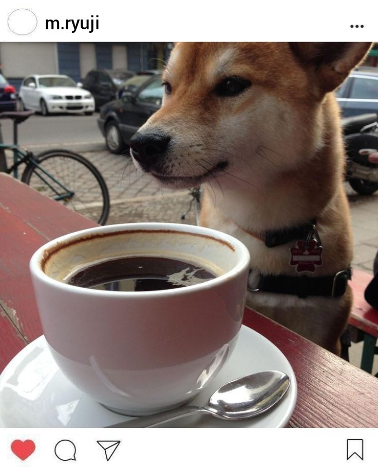 aeieelarts's tweet image. #JonaxxNJSDKab27

Mga post ni Ryuji &quot;Papansin&quot; Mori: