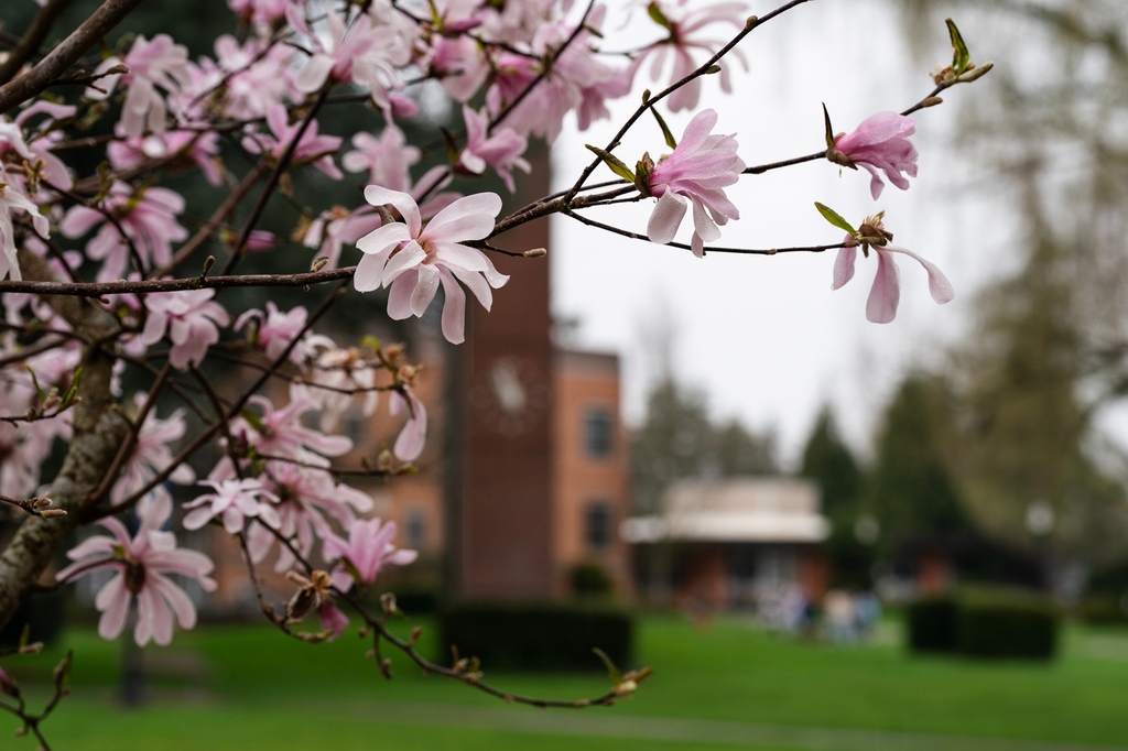 We hope you're having a great spring break, Bruins!