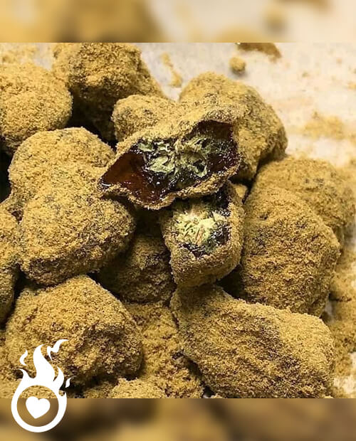 Libérez la puissance du Moon-Rock HHCPO💫

🌺Conçu à partir des fleurs californiennes, avec une concentration révolutionnaire de 60% en HHCPO, une force formidable jusqu'à 💥10 fois plus puissante que le HHC !

🔗 heartjacking.com/fr/288-HHC-PO

#Fleurs #Innovation #Cannabis #californie