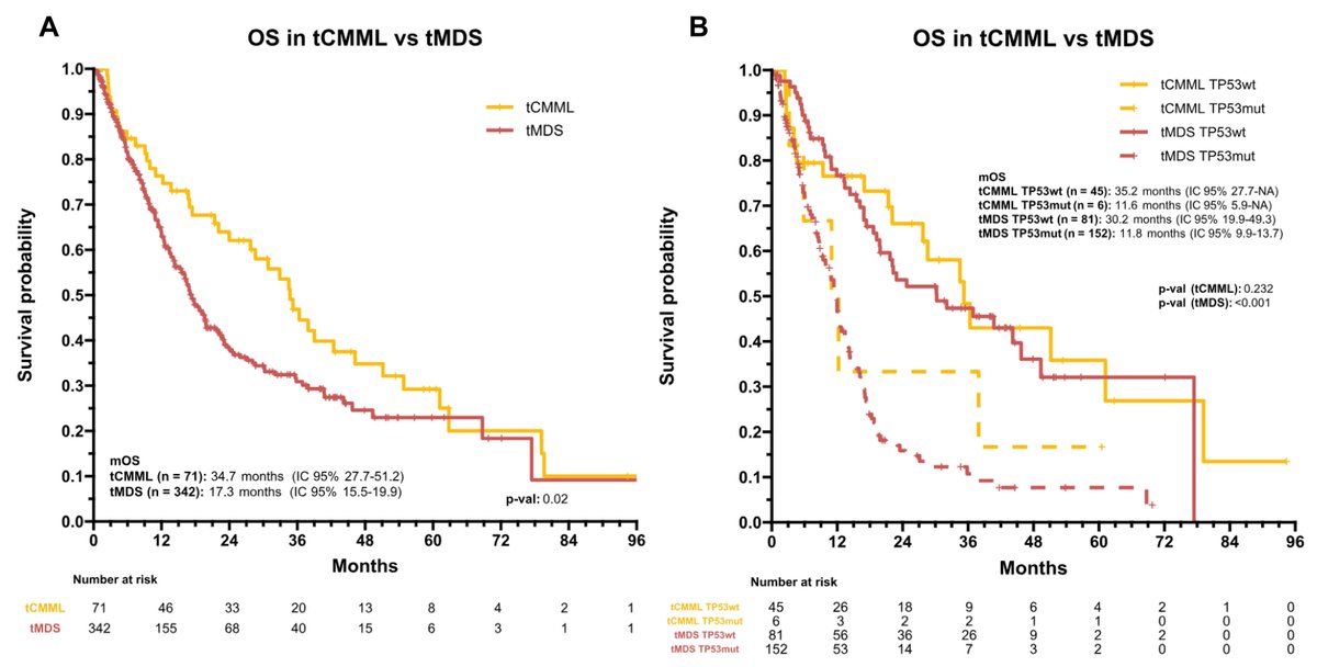 Therapy-related chronic myelomonocytic leukemia does not have the high-risk features of a therapy-related neoplasm
doi.org/10.1182/blooda…
#MDSsm #MPNsm #CMML @dwiseman78 <a href="/Kiran_Batta/">Kiran Batta</a>