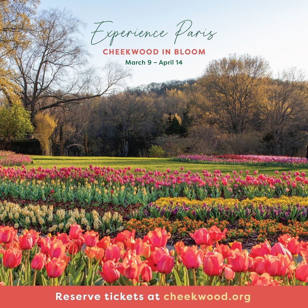 Looking for a new way to experience the blooms of spring in #Nashville? Enjoy the music, art, and cuisine of France during the @Cheekwood In Bloom spring festival through April 14th: cheekwood.org/calendar-event… 🌷 🐝