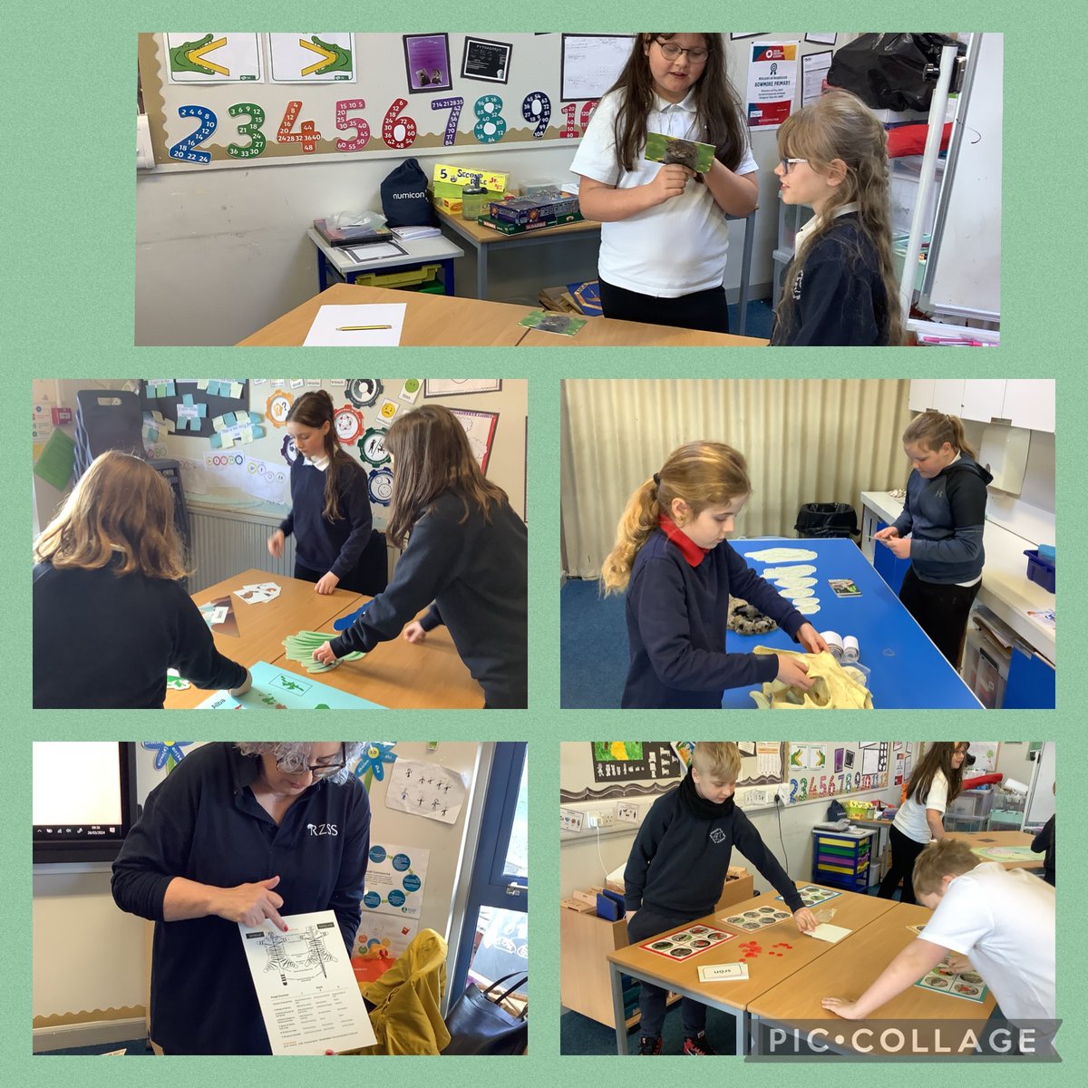 Bowmore Primary (@bowmoreprimary) on Twitter photo Today we had a visit from the Royal Zoological Society of Scotland <a href="/rzss/">Royal Zoological Society of Scotland</a>.We learned about the Sottish wildcat and their conservation. We completed Gaelic activities, one made by a former pupil of GME <a href="/BowmorePrimary/">Bowmore Primary</a>. Thank you <a href="/Sandie_Robb/">Sandie Robb</a> Today we had a visit from the Royal Zoological Society of Scotland <a href="/rzss/">Royal Zoological Society of Scotland</a>.We learned about the Sottish wildcat and their conservation. We completed Gaelic activities, one made by a former pupil of GME <a href="/BowmorePrimary/">Bowmore Primary</a>. Thank you <a href="/Sandie_Robb/">Sandie Robb</a>