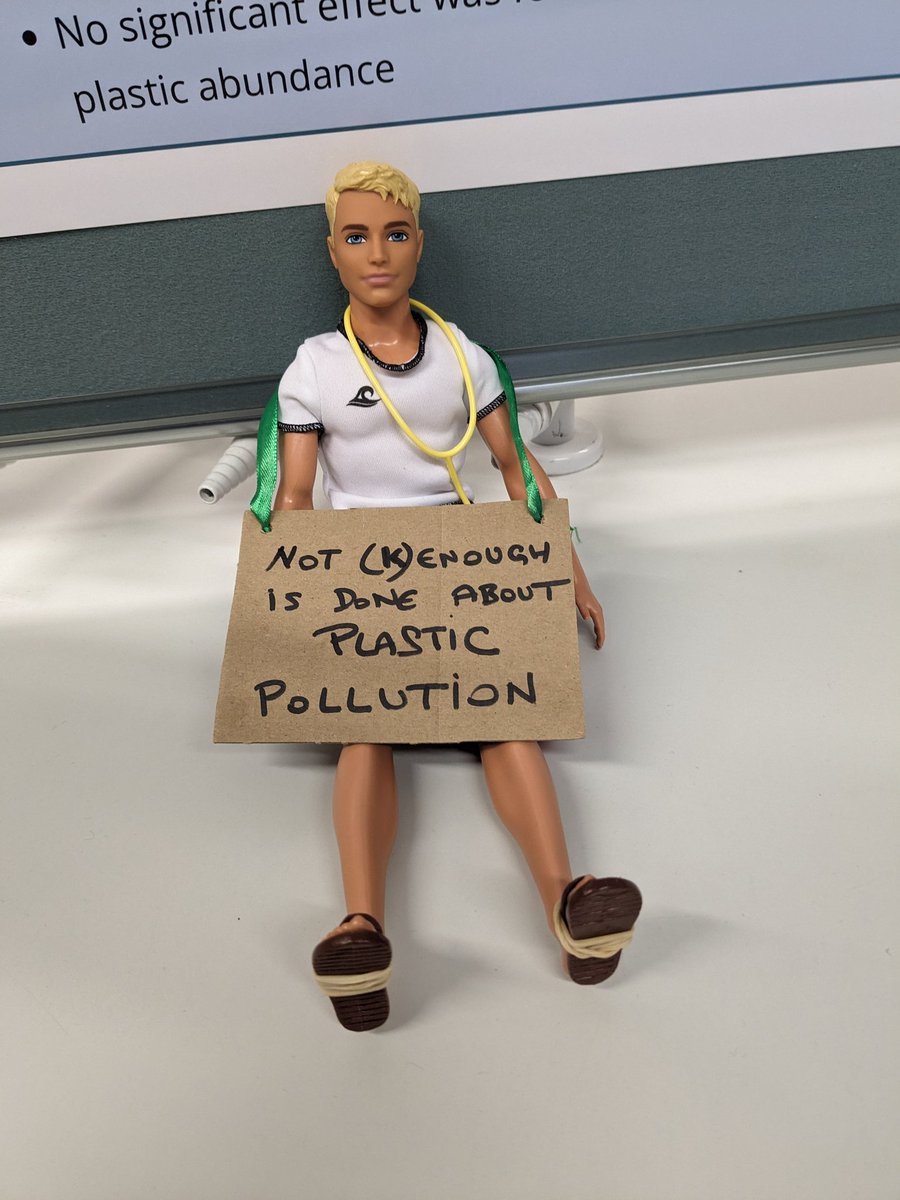 As well as excellent talks there are lots of great conservation science posters at #SCCS2024. I'm loving the innovation to get messages across, like this one using props! #Barbie