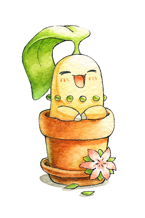 Spring Chikorita