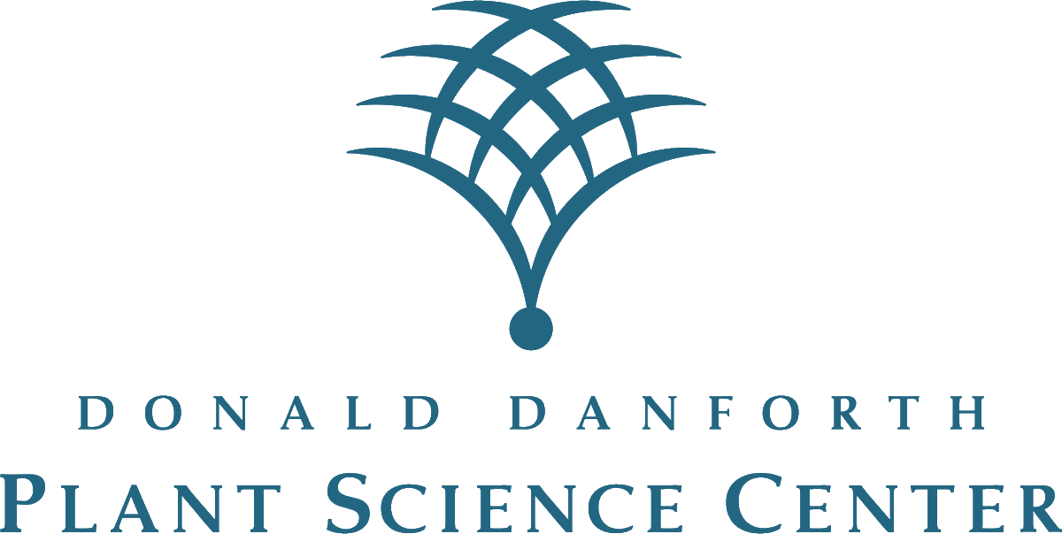 We’re hiring a new faculty member! Candidates from all disciplines relevant to the Danforth Center and its mission to ‘improve the human condition through plant science’ are encouraged to apply. More info here: paycomonline.net/v4/ats/web.php…