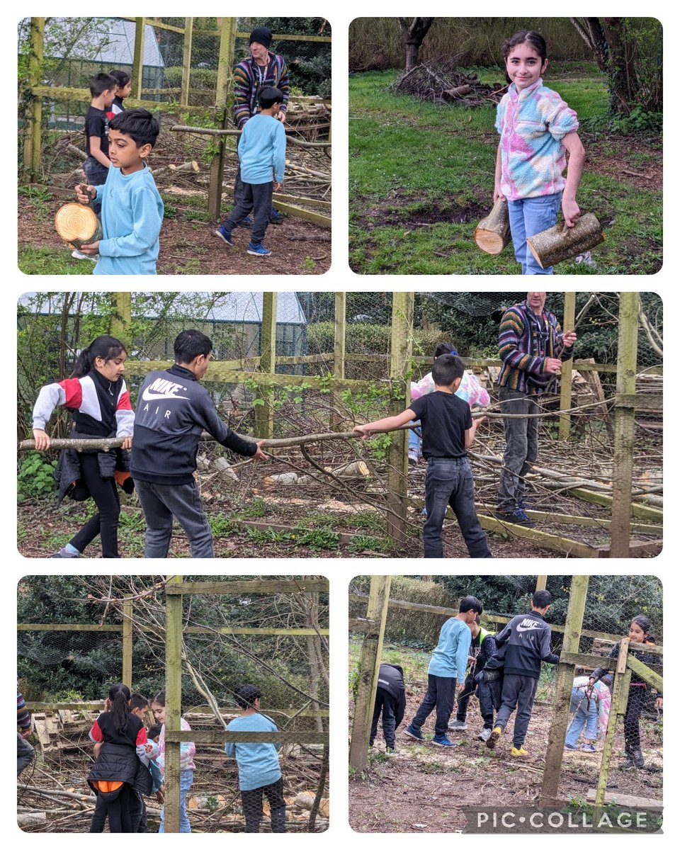 'Operation Restore Cluckingham Palace ' has begun.🐓

We loved successfully completing phase 1 - brash removal.
Vitamin D + Exercise = happy and healthy children 😄

#EthicallyInformed #HealthyAndConfident