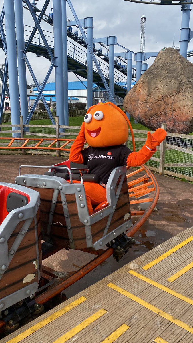 When you take your mascot to a theme park 🎢😂✨ @theyorkmix @flamingolanduk