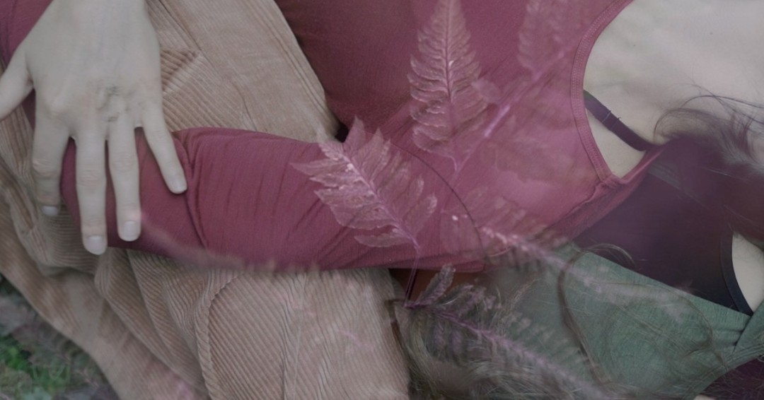 dance: made in canada / fait au canada tweet media