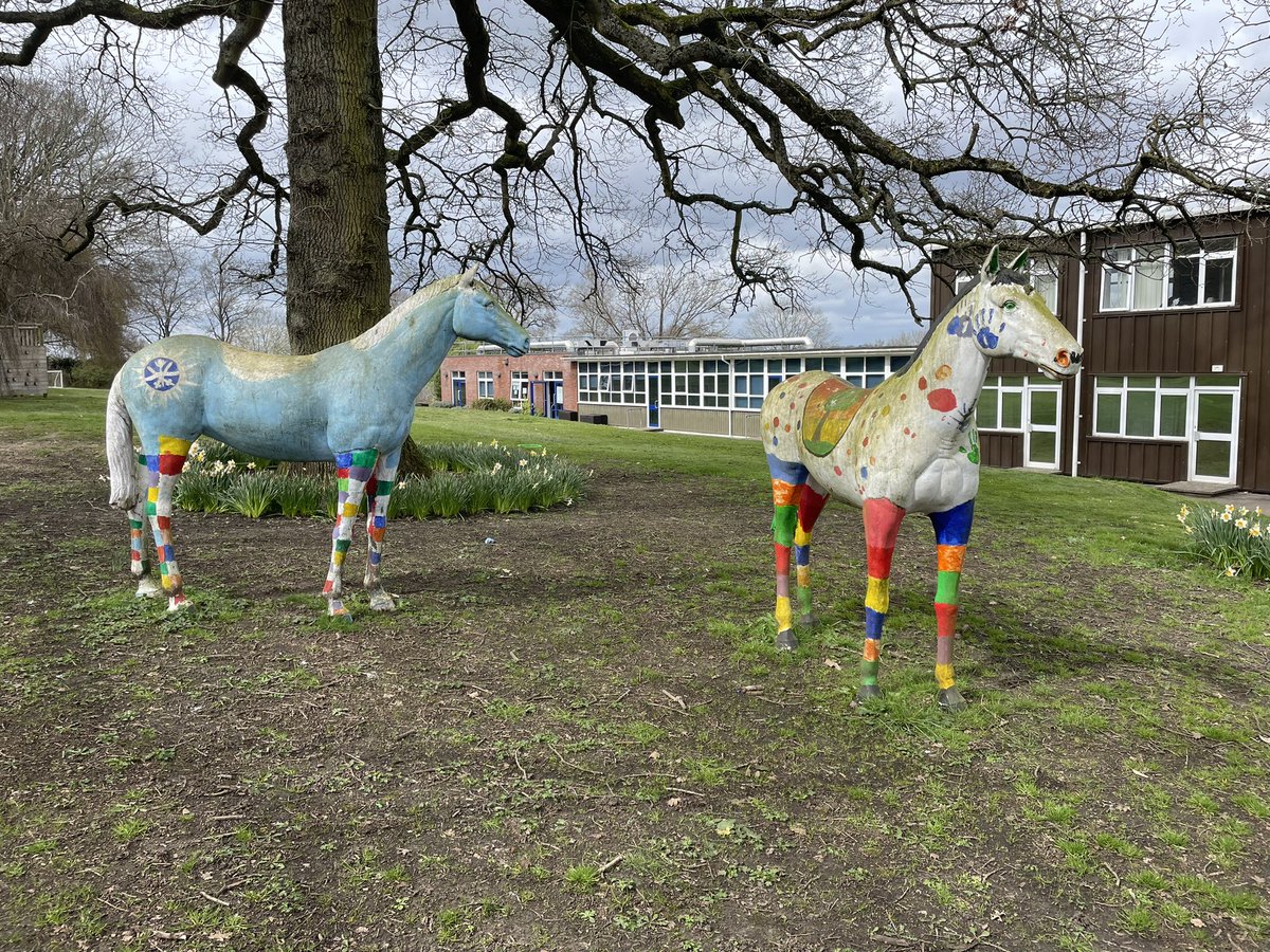 Just had 2 great days at John Rankin Primary. The children had better watch this space; things are about to get really fun, judging by the energy and enthusiasm of the staff. Glad to see they’ve already got some horses to adorn the expansive grounds. @OPAL_CIC #opalschools