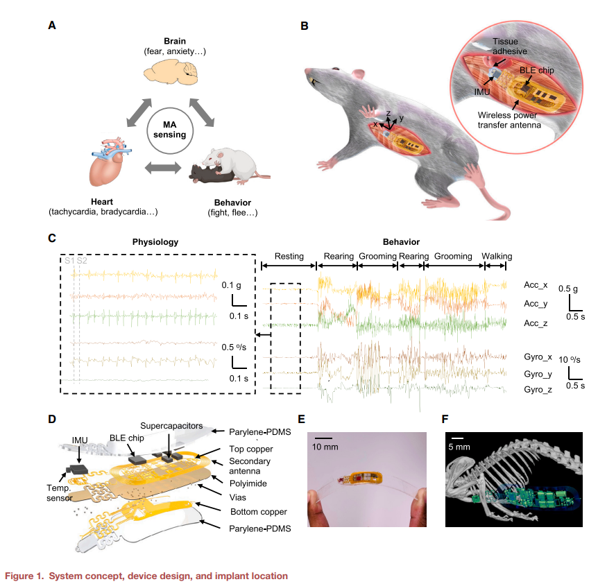 We've always been interested in peripheral physiology and social behavior, but... tethers get in the way and alter social behavior, wireless devices need bulky batteries, its a mess. So, what to do? Work with some brilliant engineers of course! The result is what we call a BMAD.