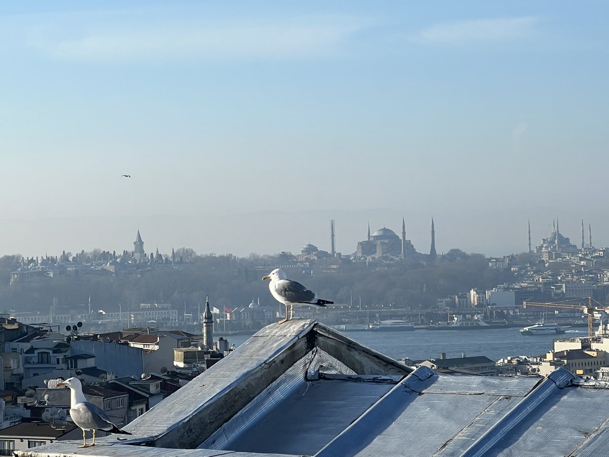 Till denna vackra, mystiska, mytiska, egensinniga stad beger jag mig i sommar för att åter göra ett korrevik på Sveriges Radio. SÅ glad 😃