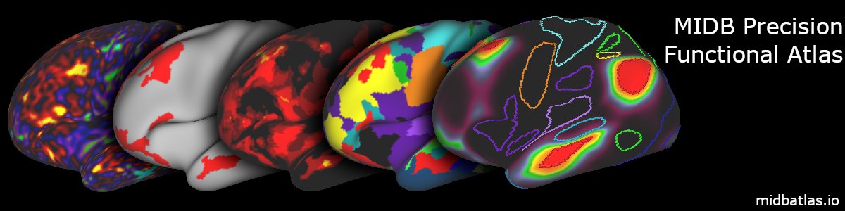 Our paper “A Precision Functional Atlas of Personalized Network Topography and Probabilities” is out now in @NatureNeuro! The MIDB Precision Brain Atlas is a collection of individualized neural network maps from n~10,000 and probabilistic atlases (1/8) rdcu.be/dCvuC