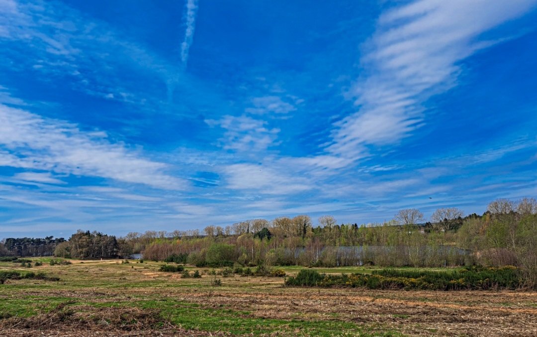 That spring sunshine just hits different 💛🩵 #spring #springsun #springsunshine #SpringDay #blue #blueskies #bluesky #blueskyphotography