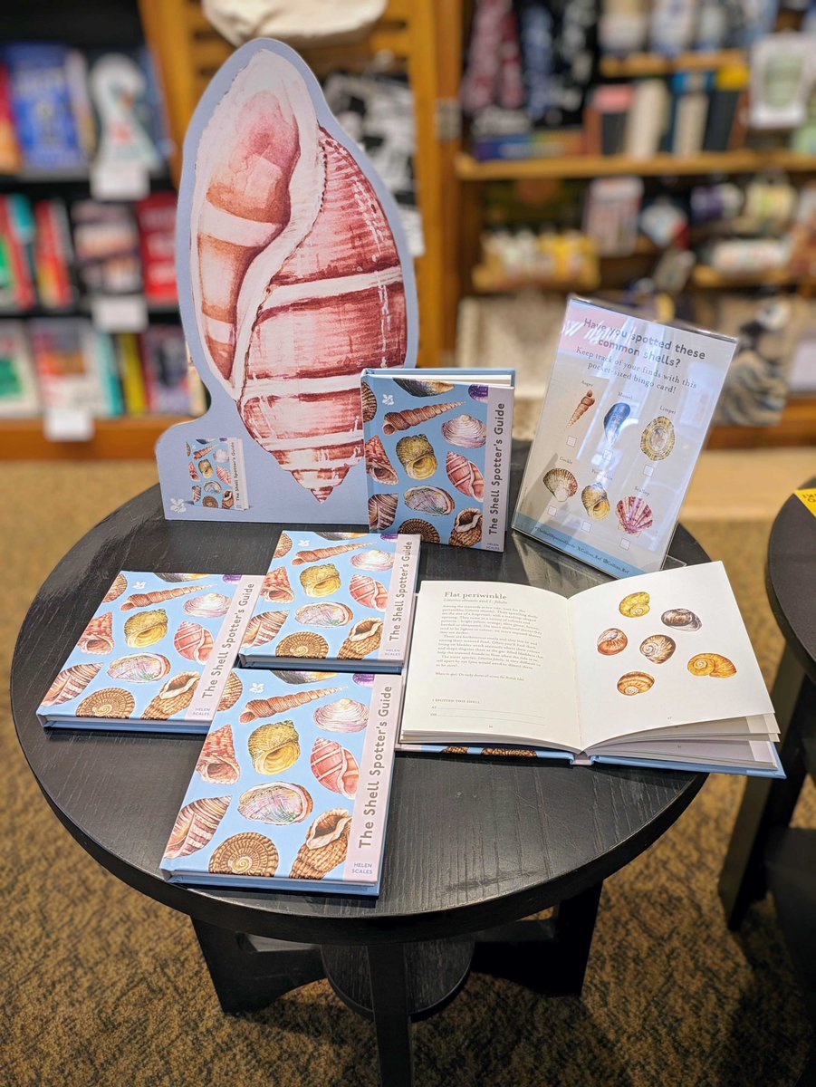 Look at this lovely little book, just in. 'The Shell Spotter's Guide' by Dr Helen Scales, beautifully illustrated by Ella Sienna. Great for an Easter present when chocolate just wont do! @HarperCollinsUK @helenscales