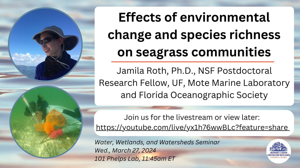 Join us 3/27 at 11:45 ET for the next #W3seminar! Dr. Jamila Roth @Seagrass365 will share findings from a project investigating the impacts of 1) multiple novel stressors on seagrass ecosystems and 2) species richness on seagrass ecosystem functions. 🔗: youtube.com/live/yx1h76wwB…