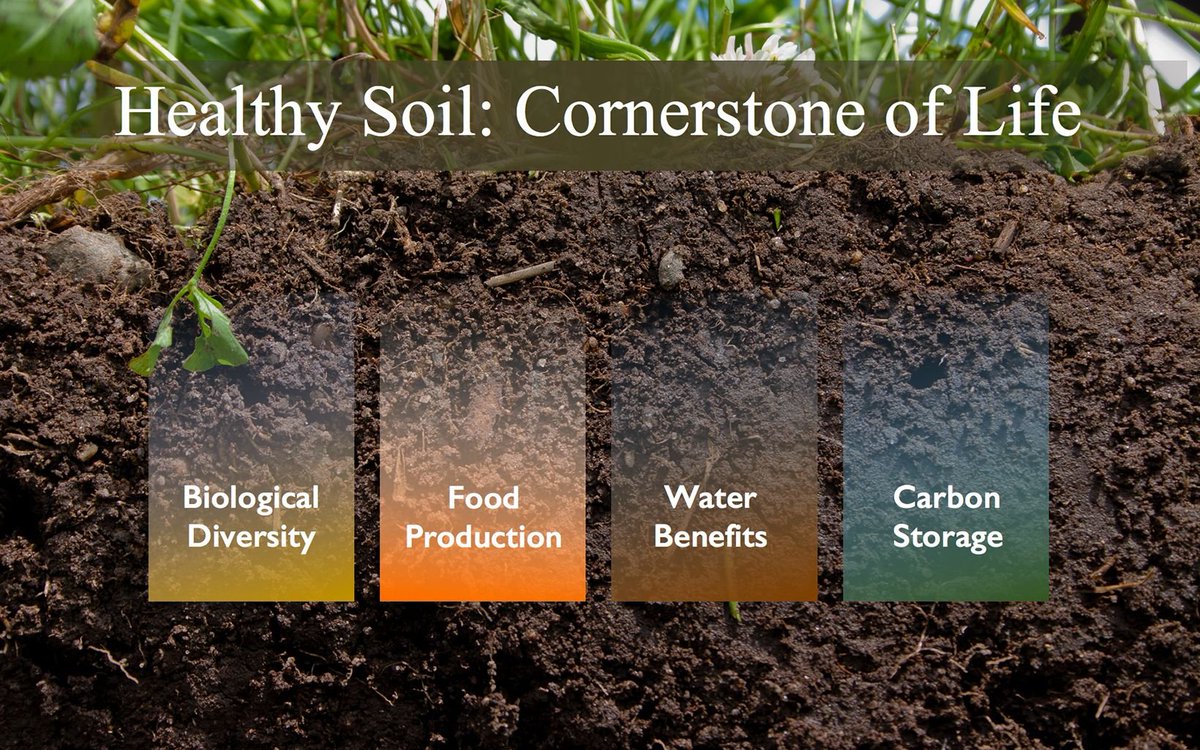 Perhaps a disaster? Or famine? Or food shortages?
Let's save the #SOIL from extinction!
Let's act now to ensure #futuregenerations support the Soil!

#SaveSoilForClimateAction 
#Letter4Soil