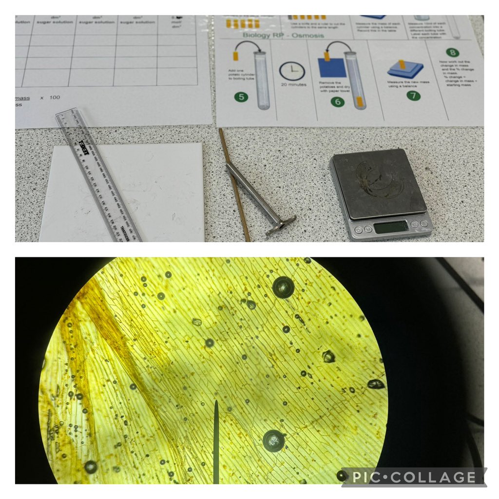 ticktock80's tweet photo. What a fabulous morning and early afternoon at @OACarlton. Great input from @OACaScience for our #GradeChaser students, followed by a delightful Indian Banquet and fairground fun. The gratitude shown by the students was genuinely heart warming. #BetterPeople #ShowUp #DoMore 💜 https://t.co/11fI4mO4bf