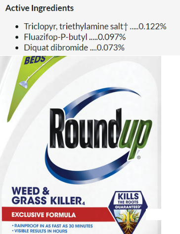 Andrew McGuire tweet media