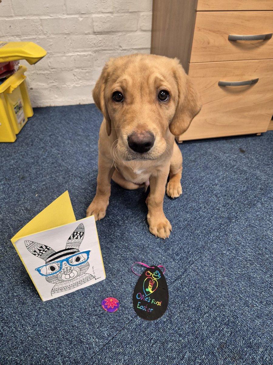 Wild Bank Odie (@odie_wildbank) on Twitter photo Thank you for my lovely gifts from the KS2 Easter Craft afternoon 🐾🐣 <a href="/WildBankPrimary/">Wild Bank Primary School 💙</a> #therapydog #schooldog Thank you for my lovely gifts from the KS2 Easter Craft afternoon 🐾🐣 <a href="/WildBankPrimary/">Wild Bank Primary School 💙</a> #therapydog #schooldog