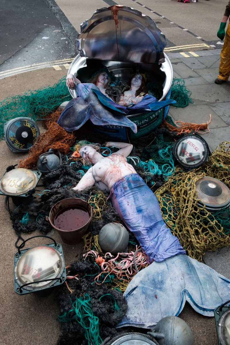 João Daniel Pereira tweet media