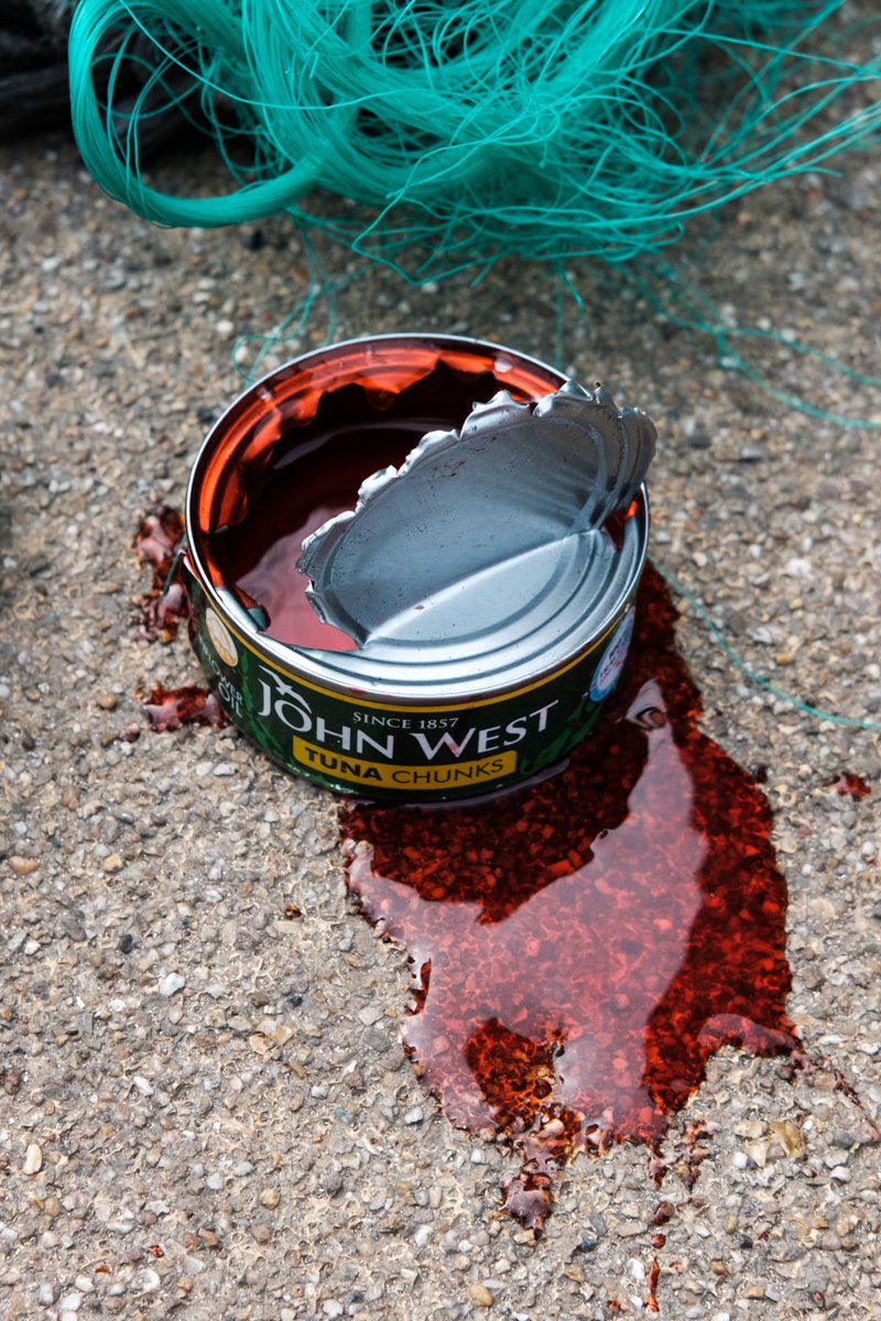 João Daniel Pereira tweet media