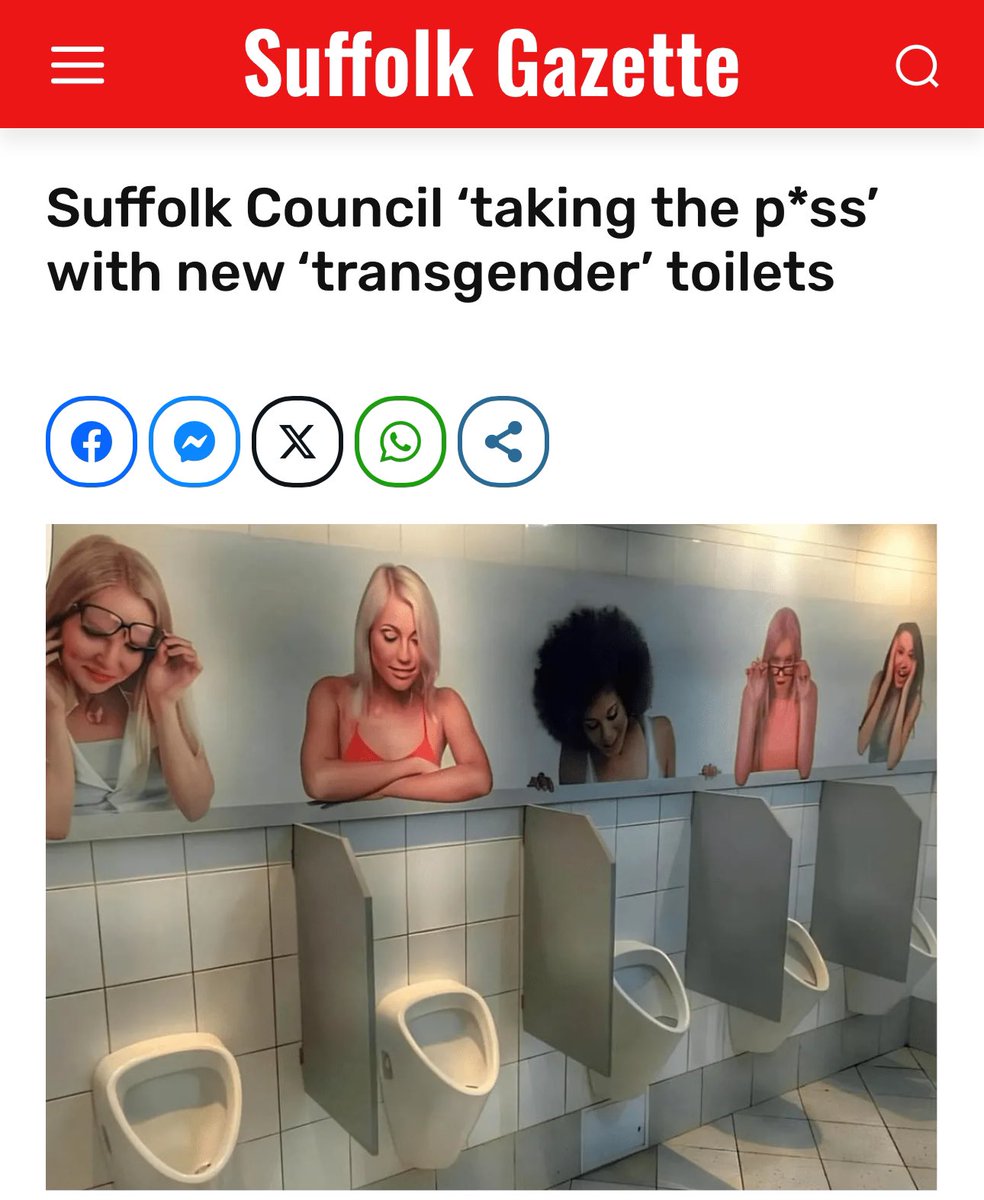 The provocative public lavatories are causing more discomfort than convenience, particularly for male users. Full Story: suffolkgazette.com/suffolk-counci…