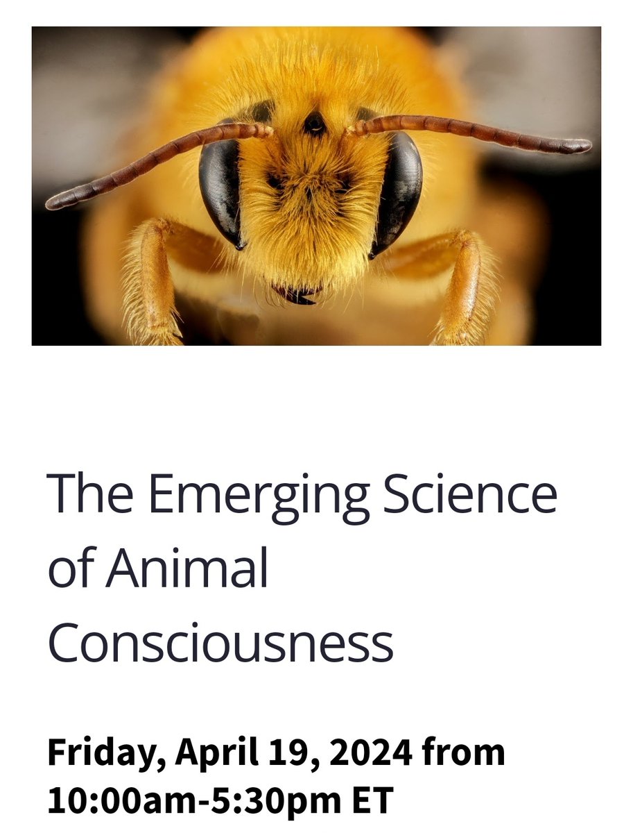 This will be fantastic - don't miss it. 8yrs after the founding of Animal Sentience, the first journal dedicated to the topic, it's time to review progress, map out agreements and disagreements, and lay out the next steps. Register now to be part of it! sites.google.com/nyu.edu/mindet…