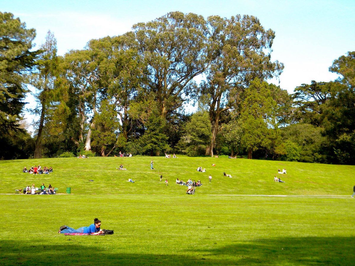 SF’s annual 420 festival won't be held in Golden Gate Park, Rec & Park & event organizer Sounds Bazaar announced today. The festival, a celebration of cannabis culture, has traditionally drawn crowds to Robin Williams Meadow/Hippie Hill. Details here: tinyurl.com/ymaefxuy