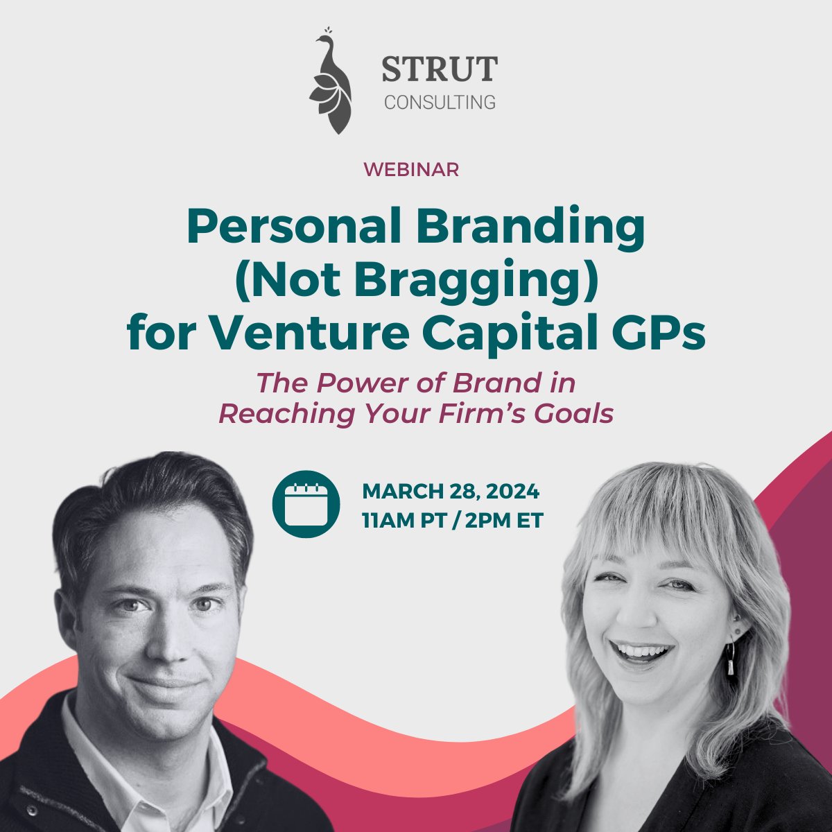 Strut Consulting tweet media