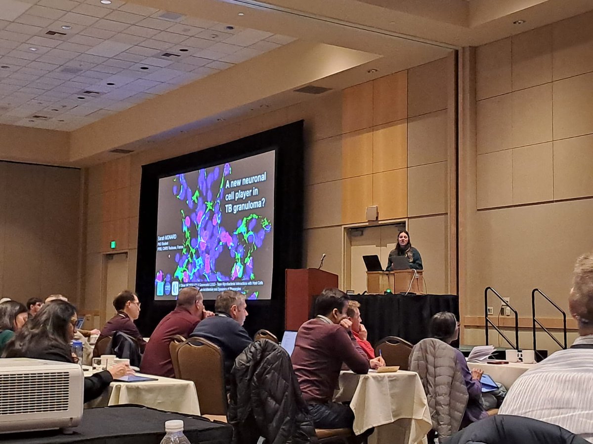 So grateful for the opportunity to present my PhD work on the Identification of a Novel Nerve Cell Population in Lung Granulomas during Tuberculosis at #KStuberculosis24