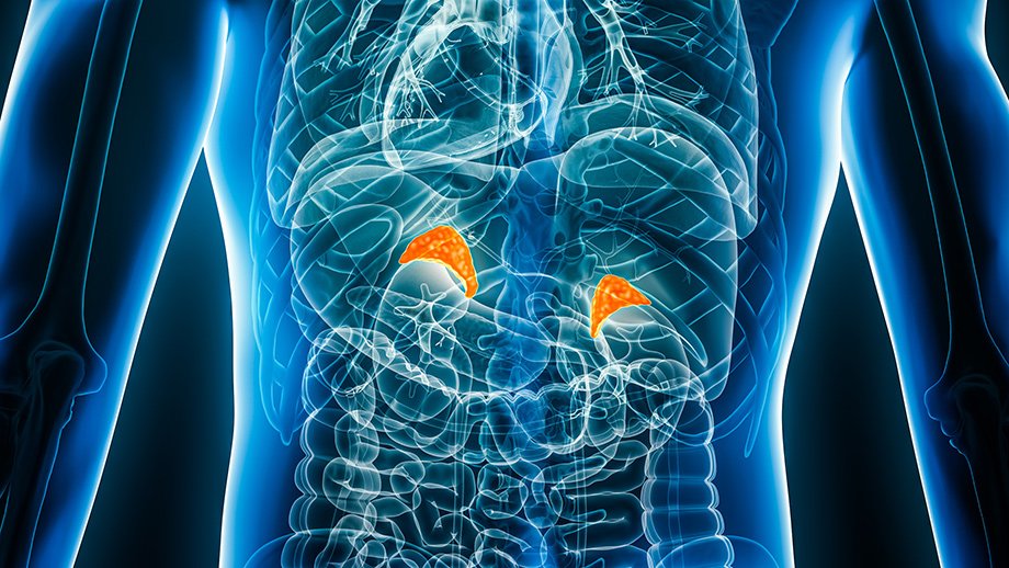 What's new in adrenal cancer treatment? New chemotherapies targeting specific mutations, robotic and laparoscopic adrenalectomies are just a few of the ways the field is expanding, according to Dr. James Lee, chief of endocrine surgery at @ColumbiaSurgery. columbiasurgery.org/news/dr-james-…
