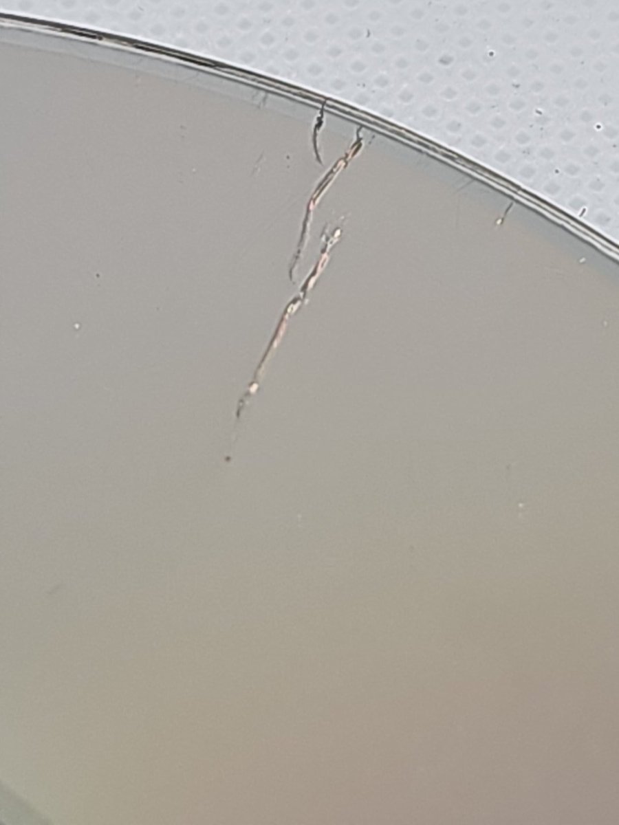 GameToyBrickMan's tweet image. I post this as BROKEN DAMAGED - Dragon Ball Z Budokai Tenkaichi 3 - Wii Game - AS IS

And I still get questions if the game will work. Smh.

#dragonballz  #dragonballzbudokaitenkaichi3