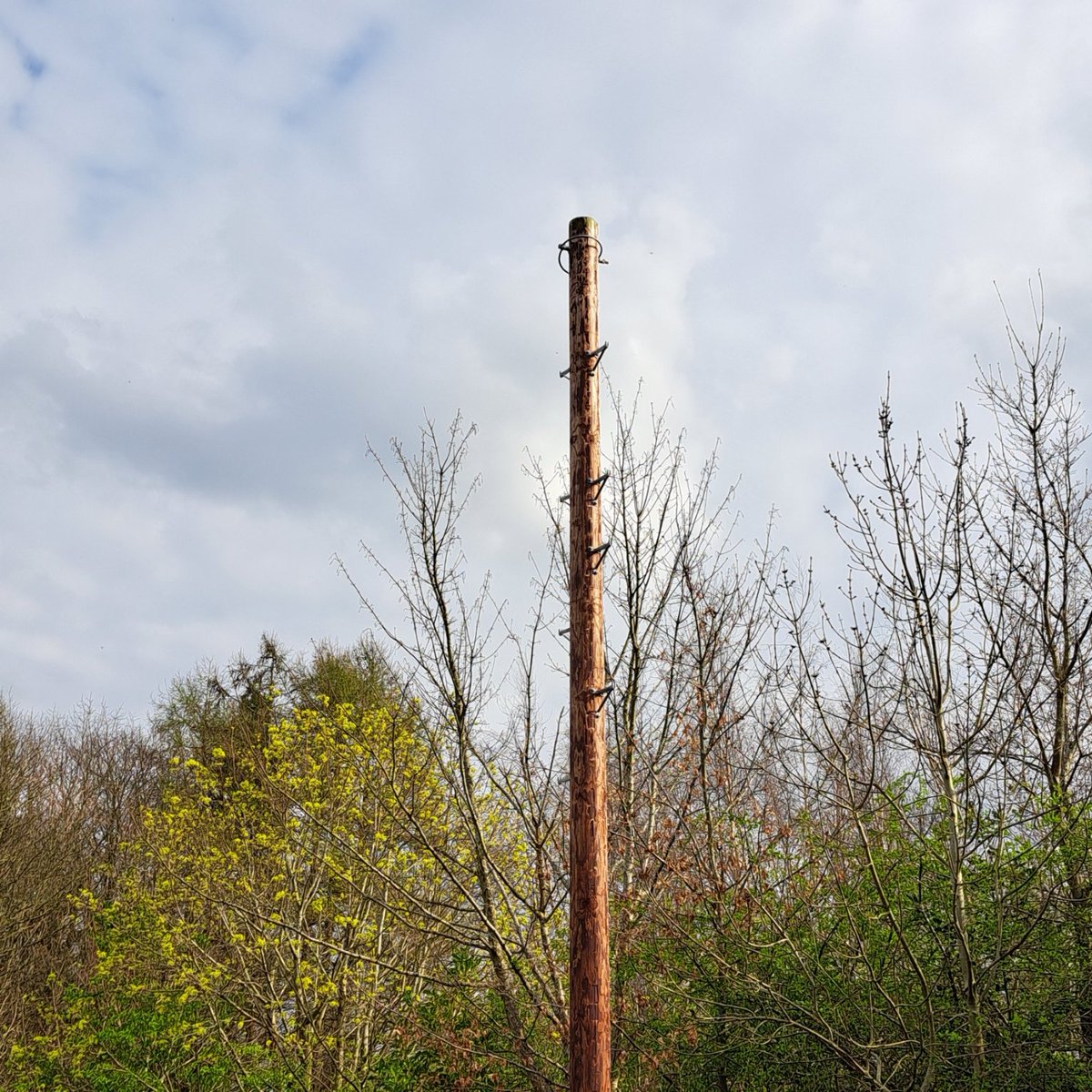 Today, I left a Farcebook group called 'The Dull Men's Group' - They've rejected all of my posts: apparently, I'm not dull enough. I'll let you decide ... today's post was of a telegraph pole (installed 4 years ago) that STILL has no wires!