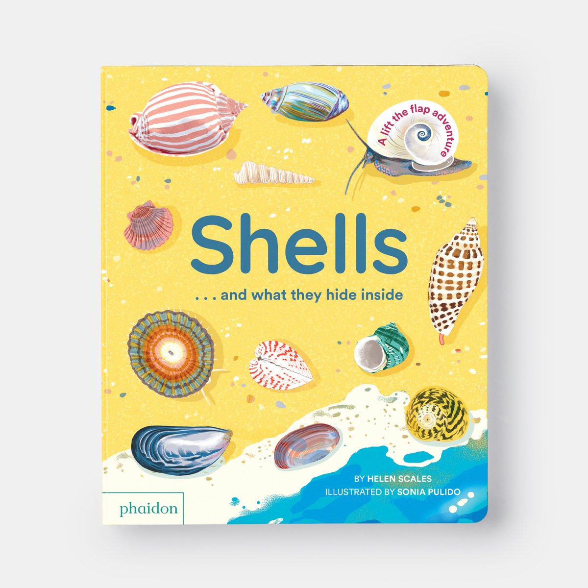 Introducing: 'Shells...and What They Hide Inside' 🐚 This lift-the-flap-fun book, with a timely message of environmental stewardship, encourages children to explore and care about the world around them. 📕 Pre-order here: eu1.hubs.ly/H08hNFb0