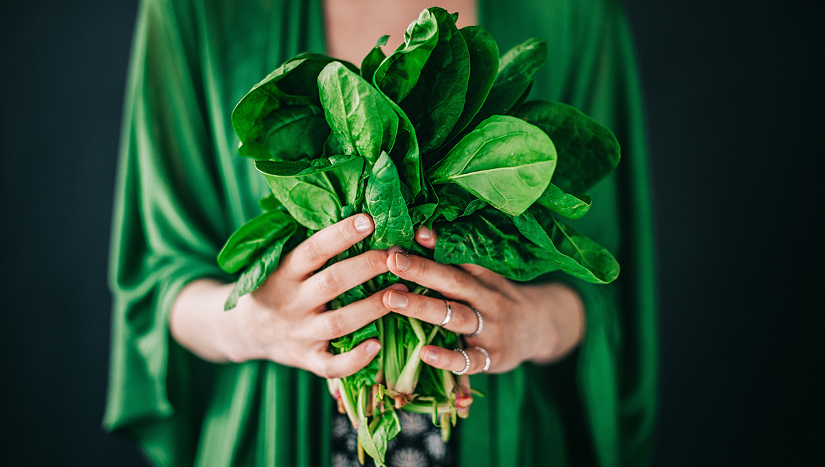 Eat your greens. It’s #nationalspinachday! This leafy #vegetable was initially grown in Persia over 2,000 years ago. It’s packed with vitamins and is considered by many to be a #superfood. Try making a salad or pasta dish with #spinach for dinner tonight. #healthyfood