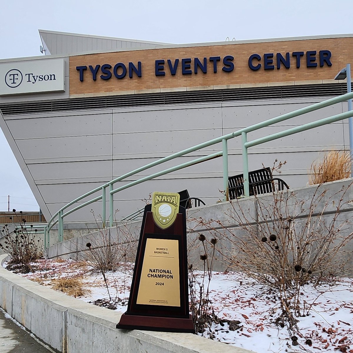 W🏀 We hope to see you tonight at the final #BattleForTheRedBanner, where you will see @dordtdefenders vs @UPArgos at 7 p.m. CT Link for tonights game--> bit.ly/49V7VXg #NAIAWBB #collegebasketball