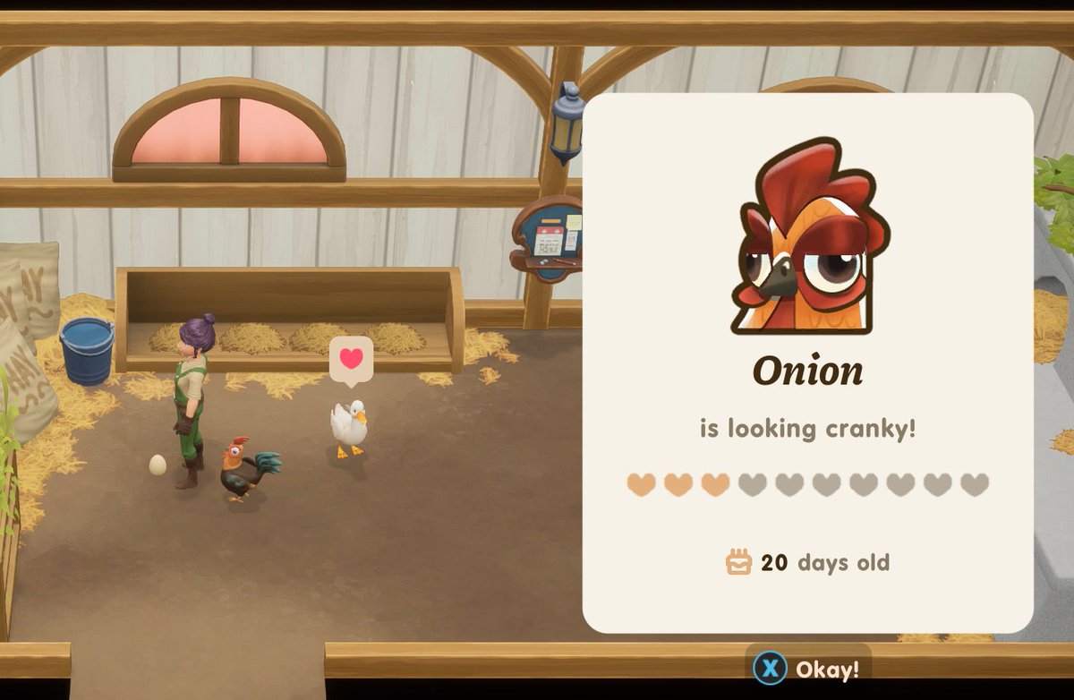 OhBonfire's tweet image. Cranky Onion
#Coralisland