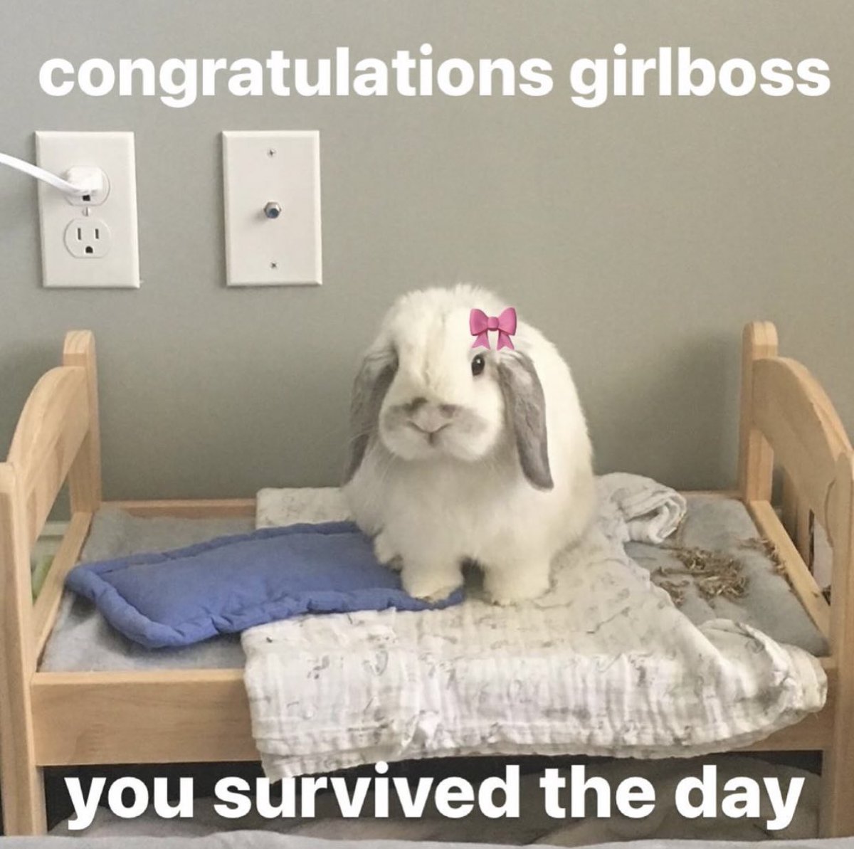 The Notorious J.O.V. (@whotfisjovana) on Twitter photo 