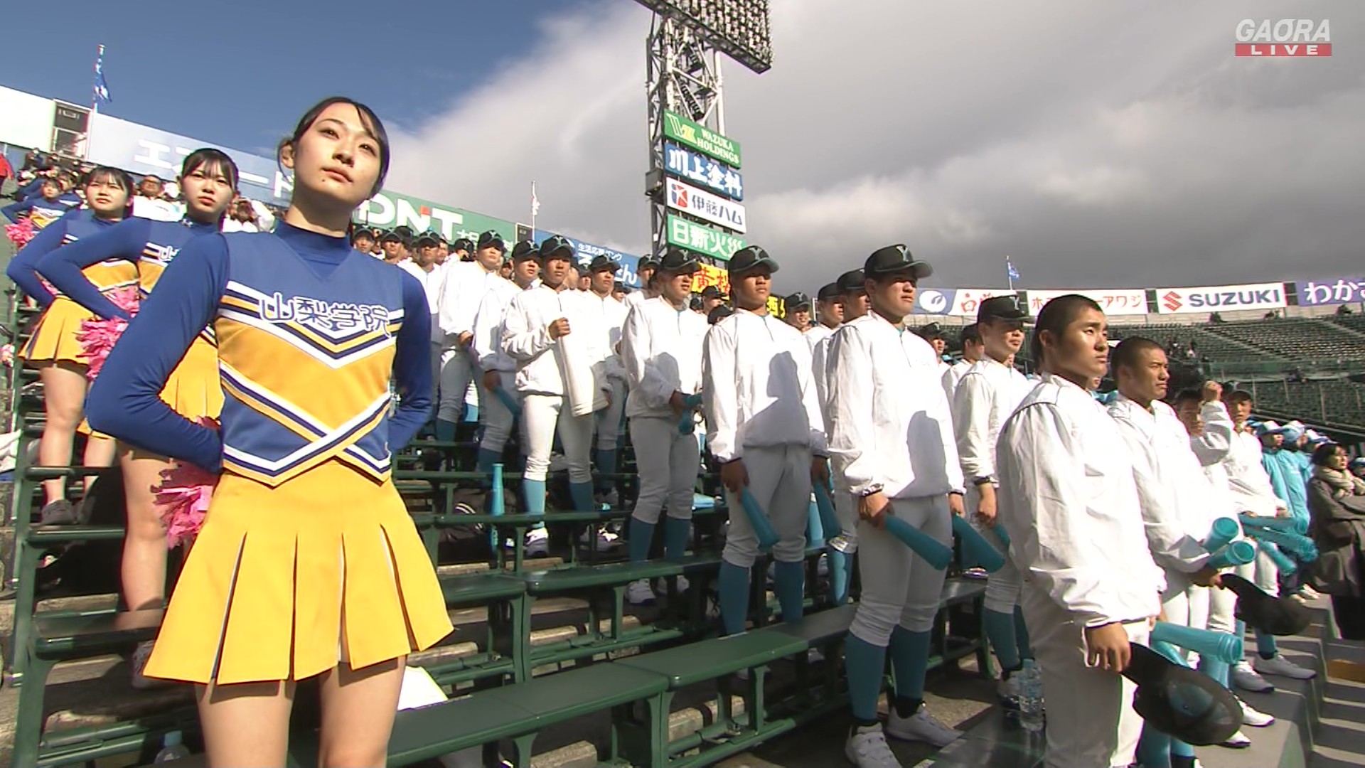 限定6,000個】山梨学院大学 チアガール チアリーダー 応援
