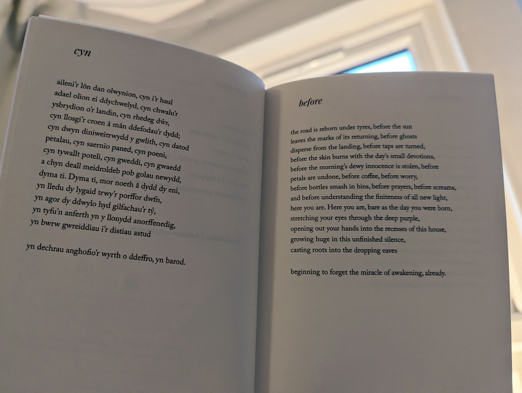 yes! & writing side-by-side in a formal poetry scheme in 2 languages is my fave way to procrastinate... ...& even more, love reading them- right now, savouring a delicious new book of sonnets by Iestyn Tyne @brokensleep 💬🗨️